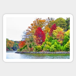 Autumn on Patuxent River Sticker